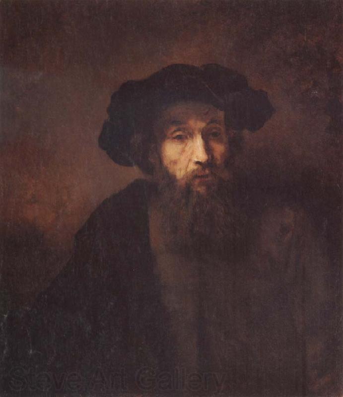 REMBRANDT Harmenszoon van Rijn A Bearded Man in a Cap France oil painting art